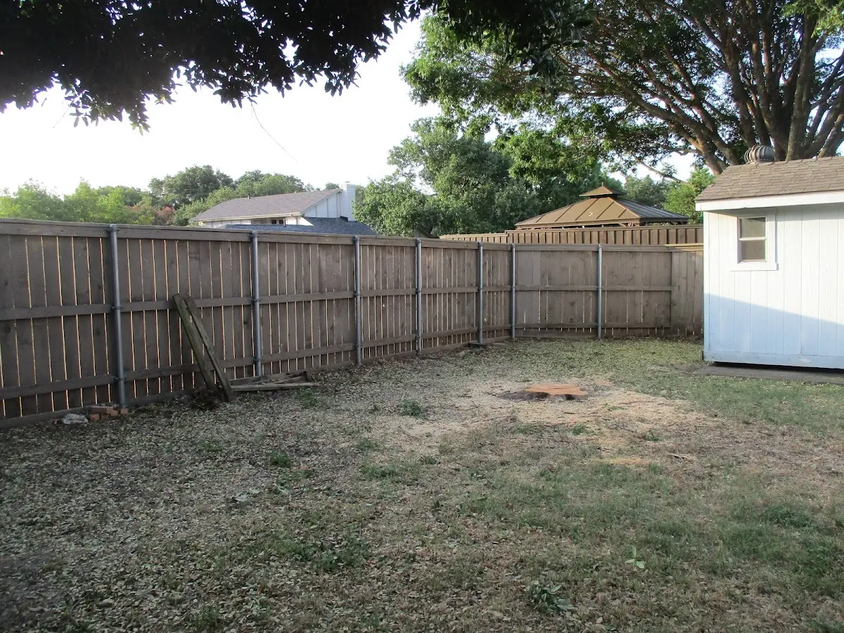Cleared yard after professional tree removal in Washington